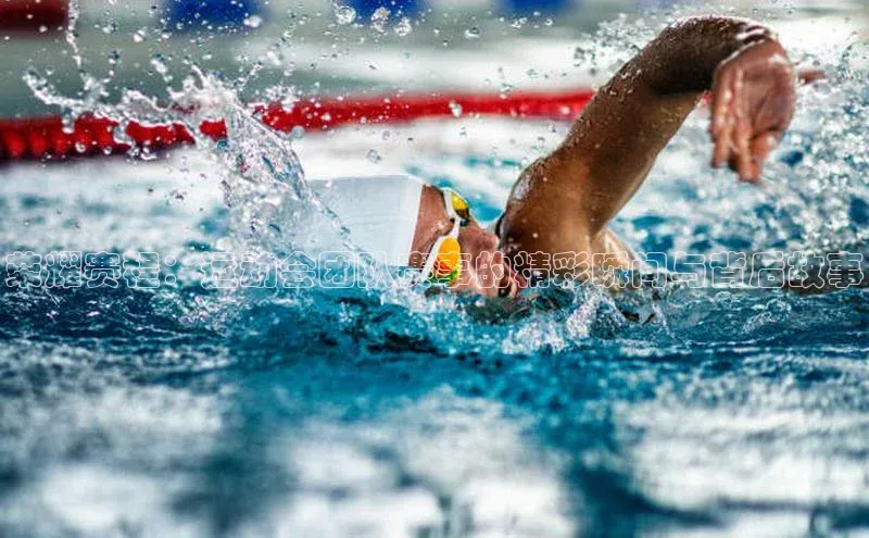 新宝gg开户登录