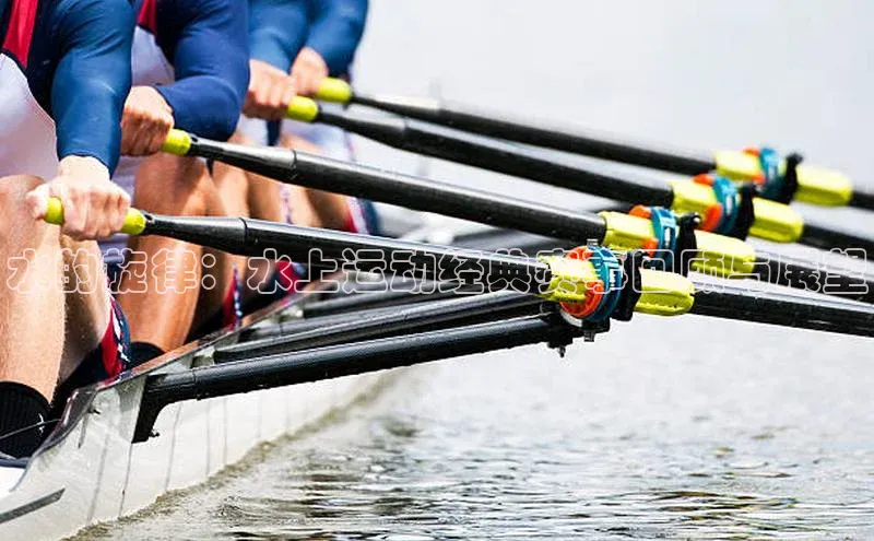 新宝登录app入口手机版