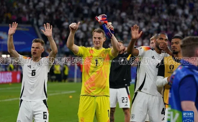 新宝网站登录入口